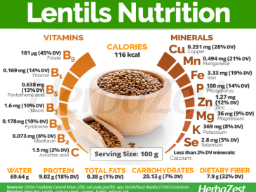 Lentil soup nutrition facts