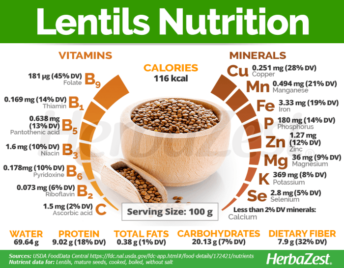 Lentil soup nutrition facts